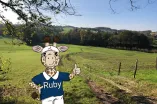 Semesterleitbild Wald mit Ruby