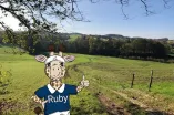 Semesterleitbild Ruby und Wald