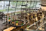 Ein moderner Fitnessbereich in einer großen, lichtdurchfluteten Halle. Zahlreiche Trainingsgeräte wie Hantelbänke, Kraftstationen und Gewichtsscheiben sind ordentlich angeordnet. Große, schräg verlaufende Fensterfronten lassen viel Tageslicht herein und geben den Blick nach draußen frei. Im oberen Bereich verläuft eine Galerie mit Geländer, und an der Wand ist ein motivierender Schriftzug zu sehen. Die Atmosphäre wirkt aufgeräumt und aktiv.