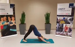 Onlinekurs Yoga Unifit