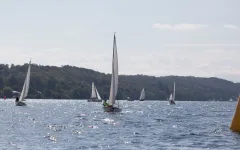 adh Trophy Segeln 2021