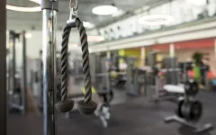 Unifit_Trizeps