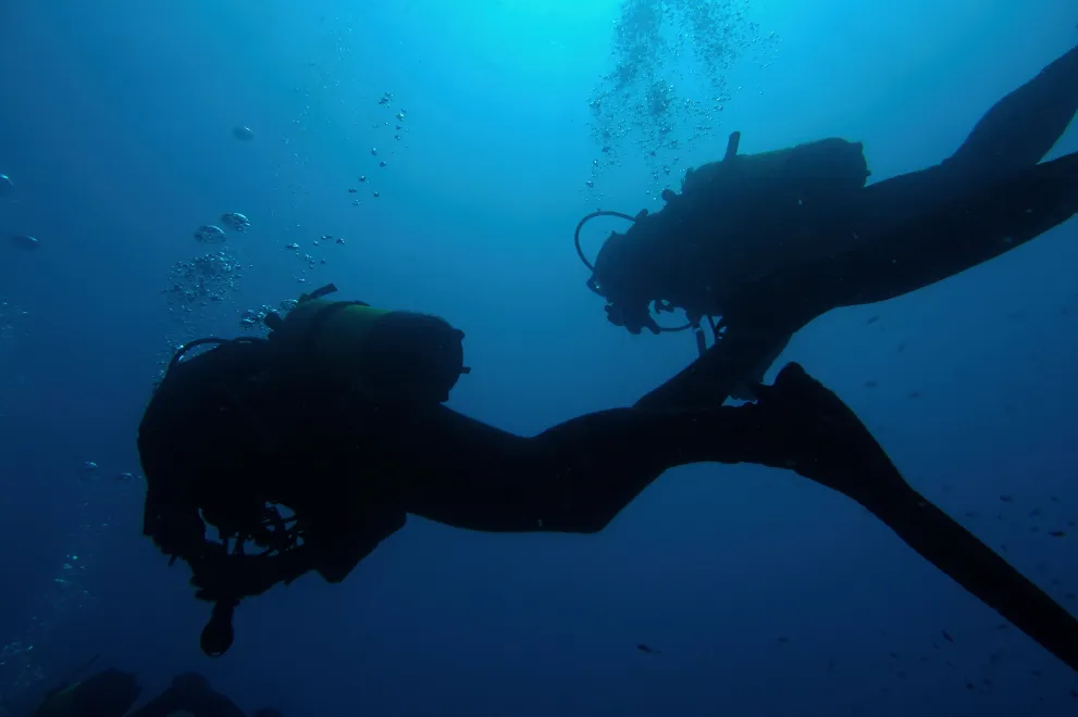 Jahresrückblick 2022 - Tauchexkursion (engl)