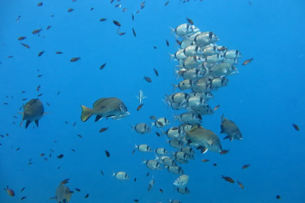 Exkursion Spanien 2023