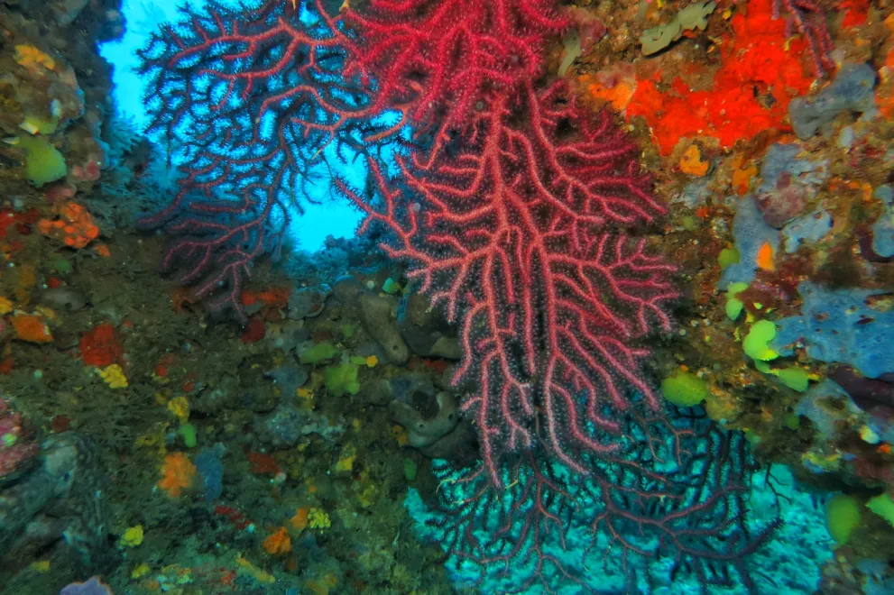 Exkursion Spanien 2023