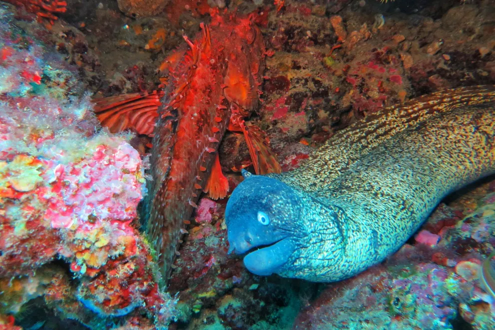 Exkursion Spanien 2023