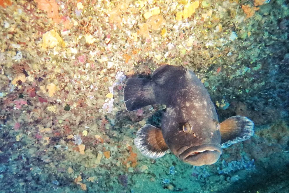 Exkursion Spanien 2023