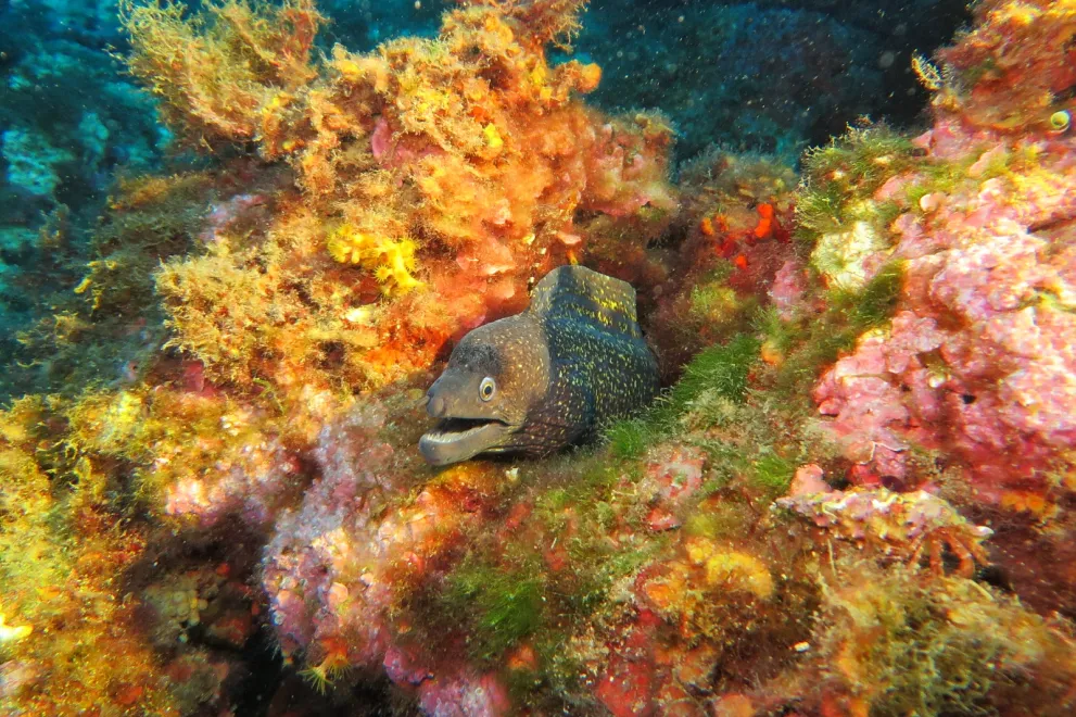 Exkursion Spanien 2023