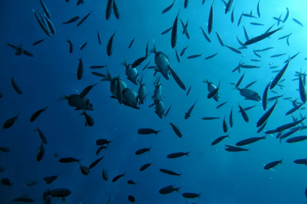 Exkursion Spanien 2023