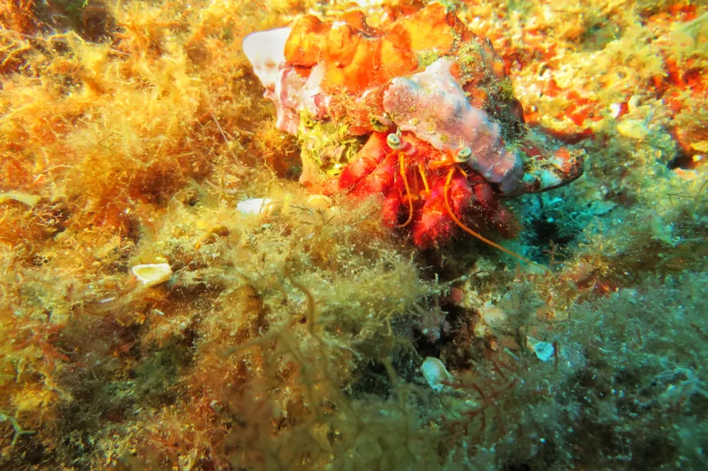 Exkursion Spanien 2023