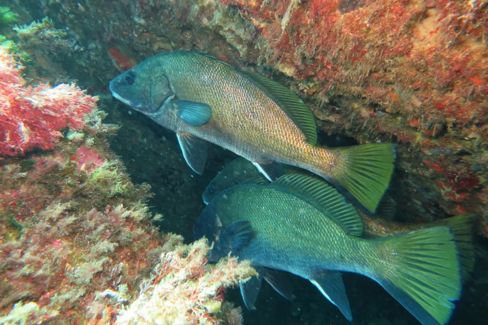 Exkursion Spanien 2023