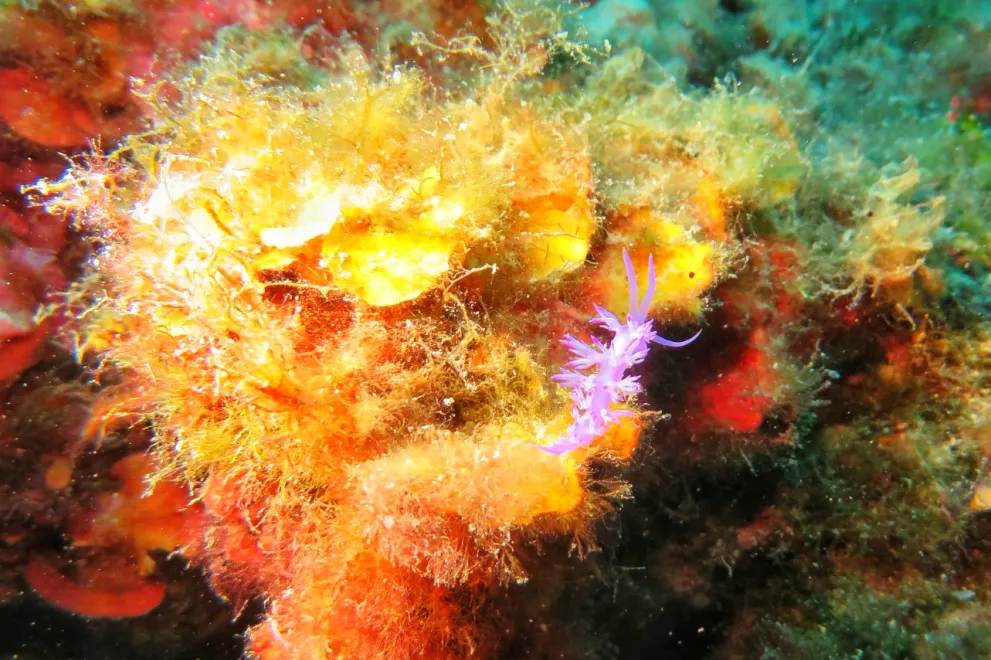 Exkursion Spanien 2023