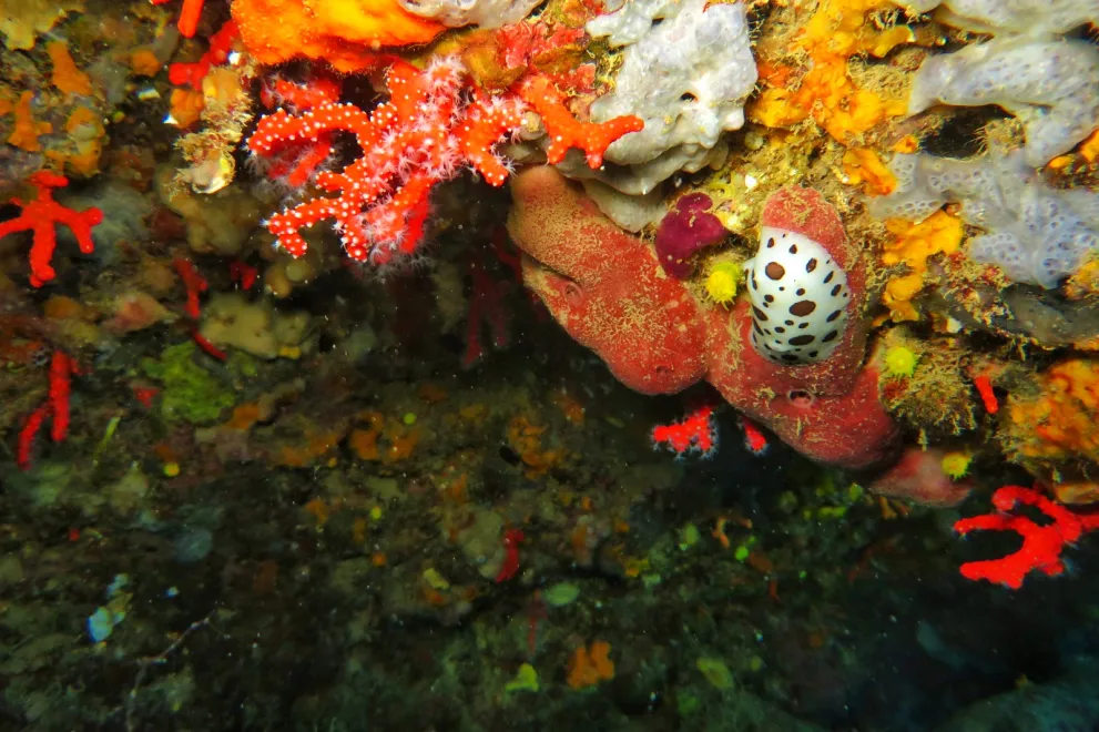 Exkursion Spanien 2023