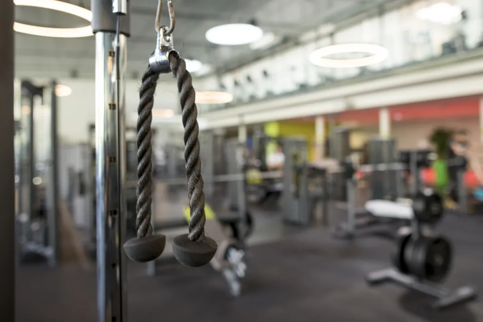 Unifit_Trizeps