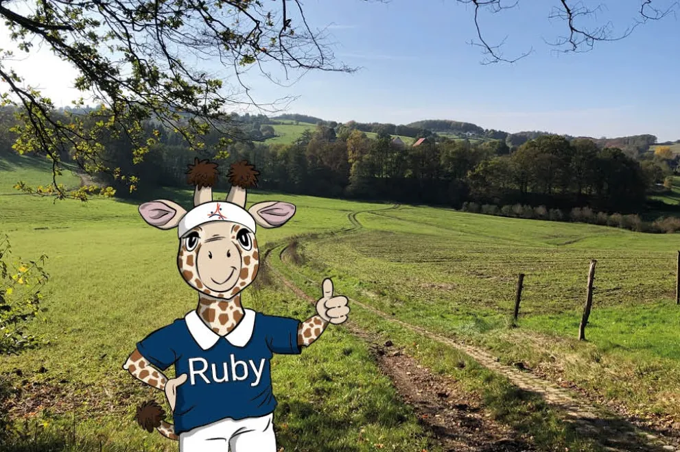 Semesterleitbild Wald mit Ruby